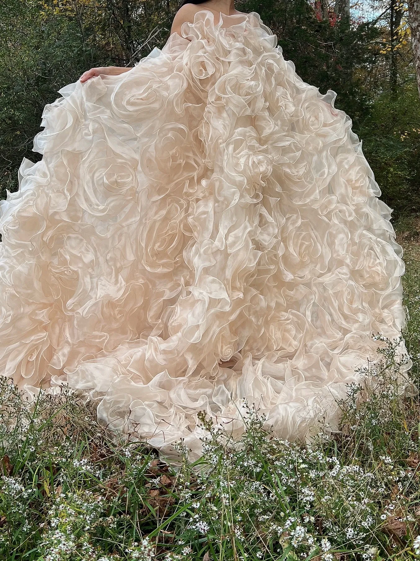 1980s Almond Organza Rose Patterned Dress - OSFM