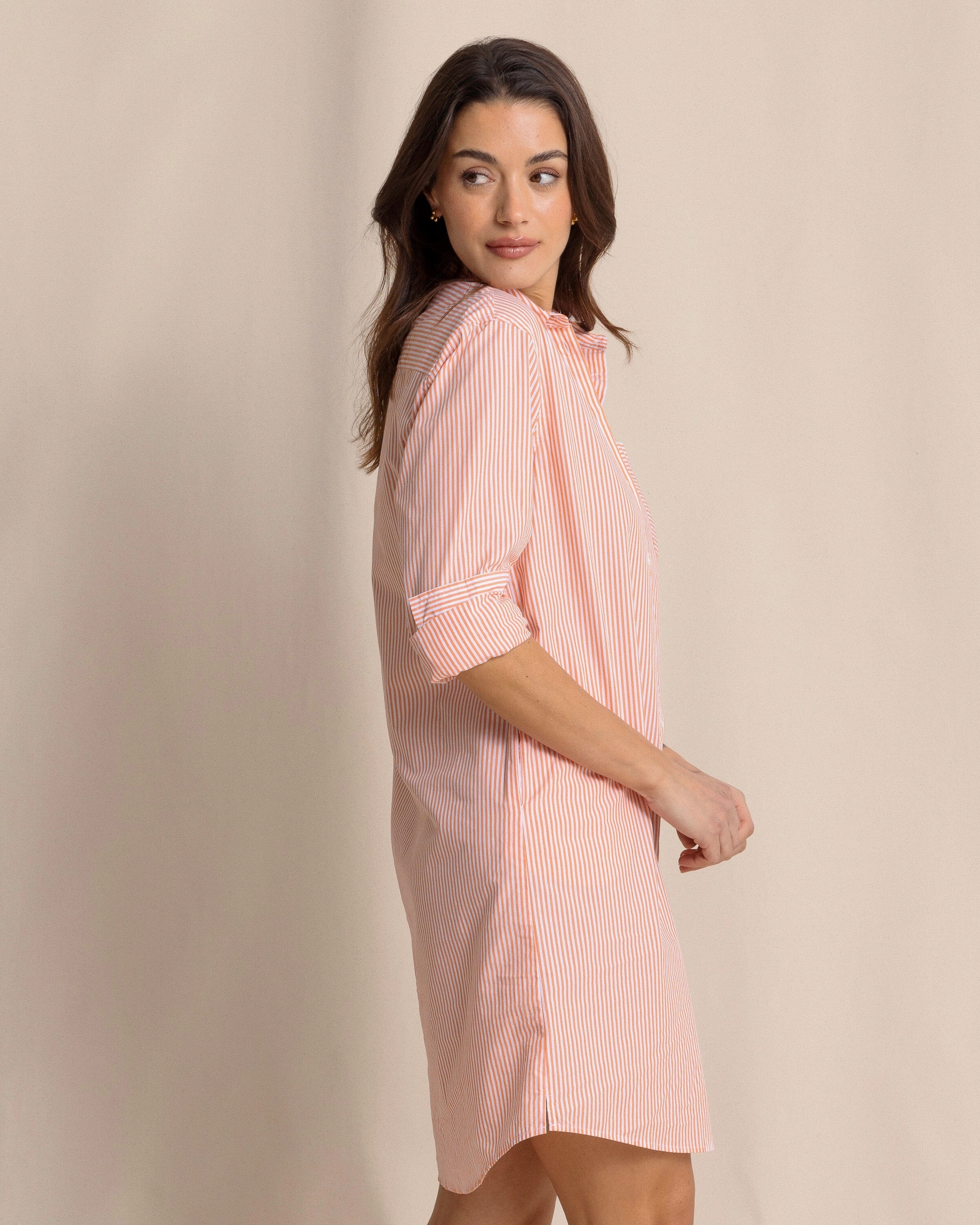 Cam Stripe Poplin Dress