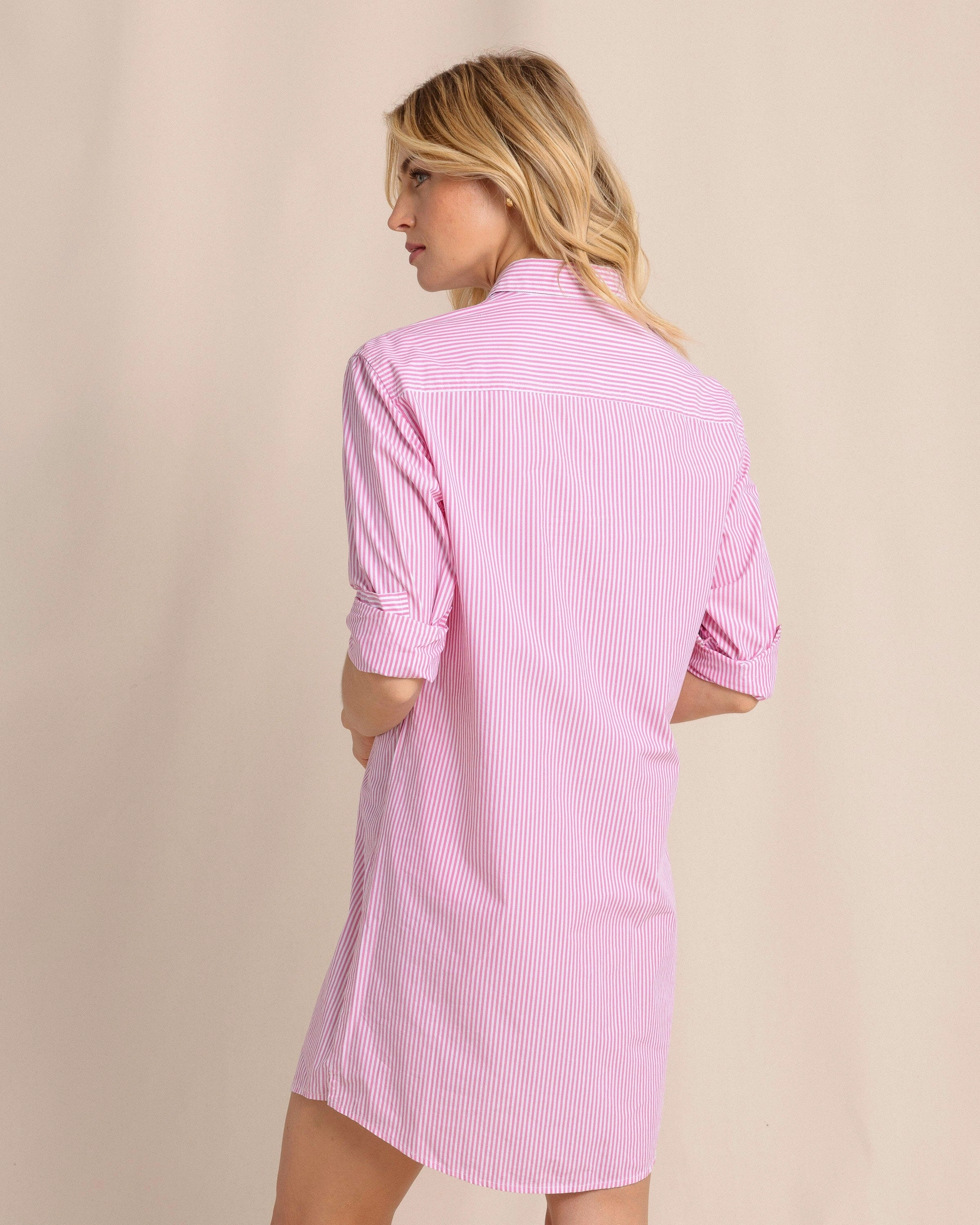 Cam Stripe Poplin Dress