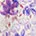 Gathering Wild Flowers Dress