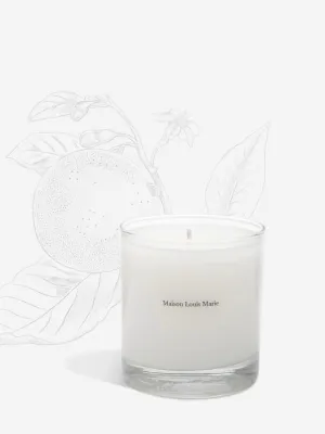 Maison Louis Marie No. 09 Valeé De Farney Candle