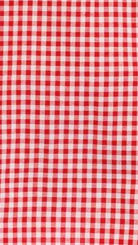 Selma Vest and Shorts Set - Red Gingham
