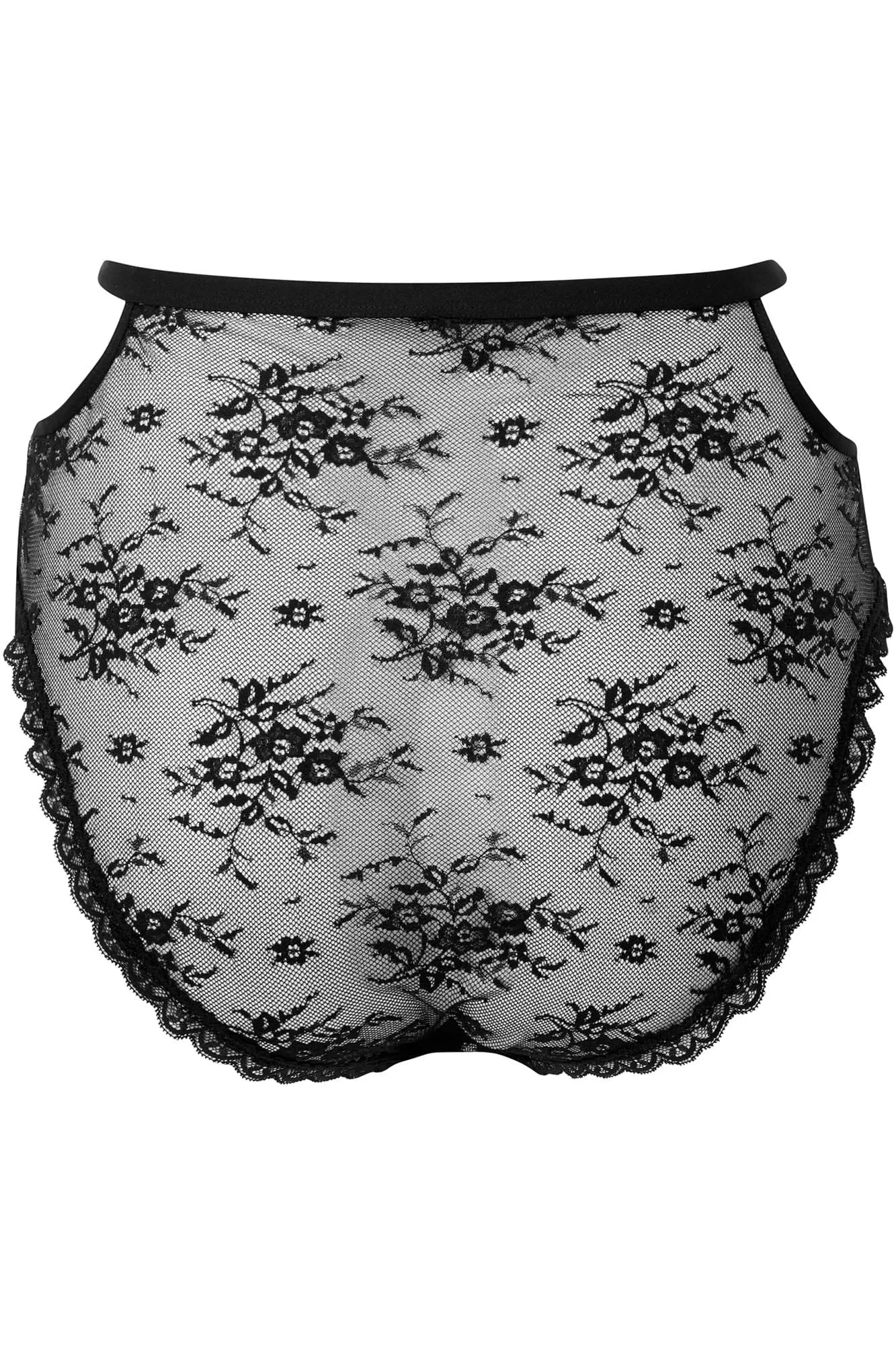 Sheer Evil Panty [B]