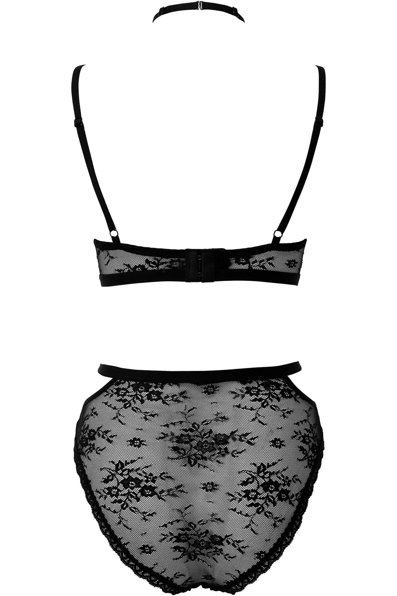 Sheer Evil Panty [B]